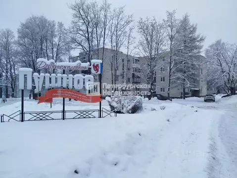 2-к кв. Ленинградская область, Выборгский район, Рощинское городское ...