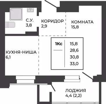 Студия Алтайский край, Барнаул тракт Павловский, 251Б (30.8 м)