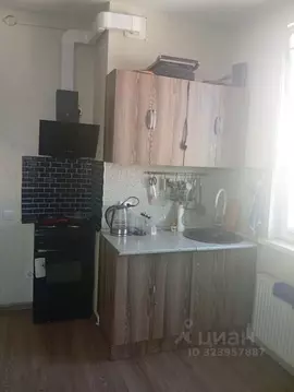 Студия Санкт-Петербург ул. Плесецкая, 10 (21.0 м)