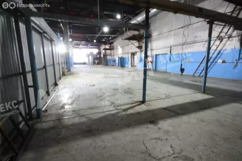 Производственное помещение (1050 м)