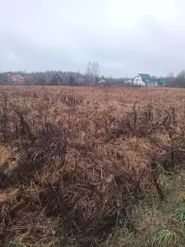 Участок в Московская область, Орехово-Зуевский городской округ, д. ...
