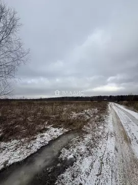 Участок в Владимирская область, Владимир д. Вилки, ул. Центральная, 22 ...