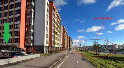 Помещение свободного назначения в Санкт-Петербург просп. Ветеранов, ...