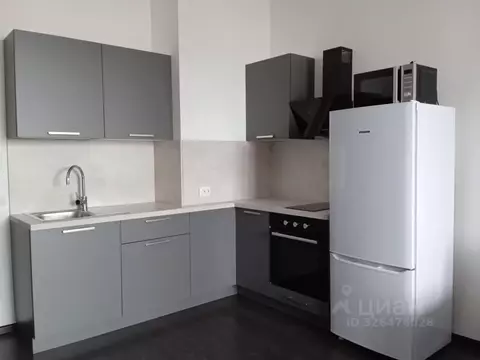 Студия Санкт-Петербург аллея Арцеуловская, 15 (26.5 м)