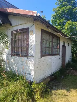 Дом в Ленинградская область, Гатчинский муниципальный округ, Березовая ...