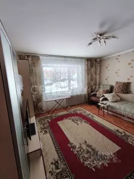 3-к кв. Алтайский край, Барнаул Лазурная ул., 22 (66.4 м)