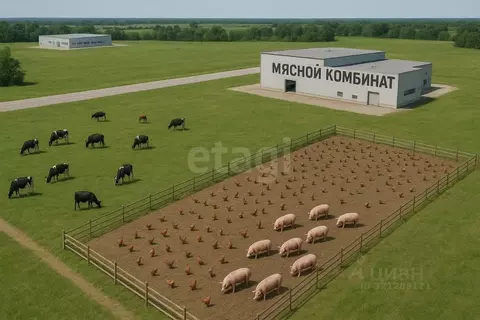 Участок в Калининградская область, Зеленоградский муниципальный округ, ...