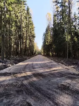 Участок в Ленинградская область, Всеволожск  (12.0 сот.)