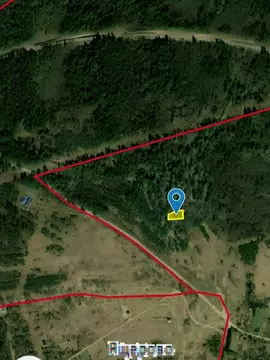 Участок в Новгородская область, Валдайский район, Рощинское с/пос, д. ...