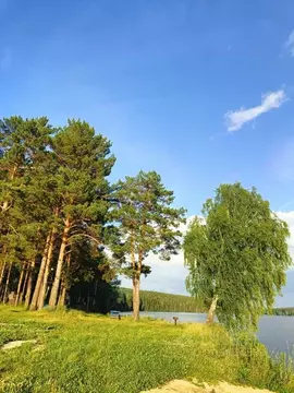 Участок в Свердловская область, Сысертский муниципальный округ, СНТ ...