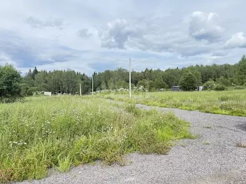 Участок в Калужская область, Боровский район, Ворсино с/пос, д. ...