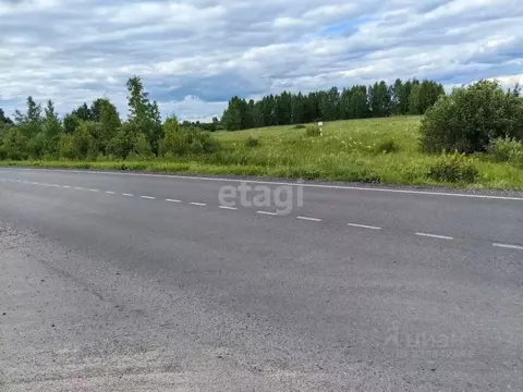 Участок в Ярославская область, Некрасовский муниципальный округ, с. ...