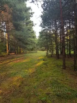 Участок в Московская область, Одинцовский городской округ, с. Луцино, ...