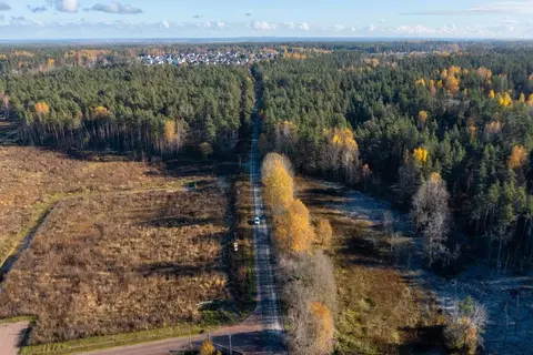 Участок в Ленинградская область, Приозерский район, Сосновское с/пос, ...