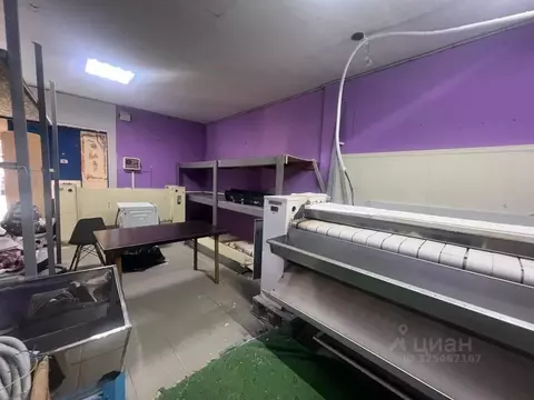 Помещение свободного назначения в Краснодарский край, Сочи Виноградный ...