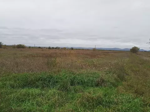 Участок в Красноярский край, Минусинский муниципальный округ, пос. ...