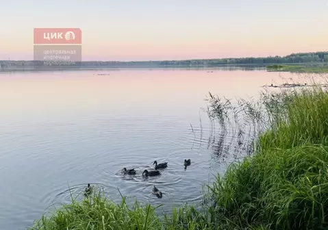 Участок в Рязанская область, Клепиковский муниципальный округ, д. ...
