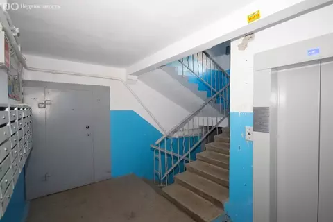 3-комнатная квартира: Магнитогорск, улица Зелёный Лог, 52 (65.7 м)