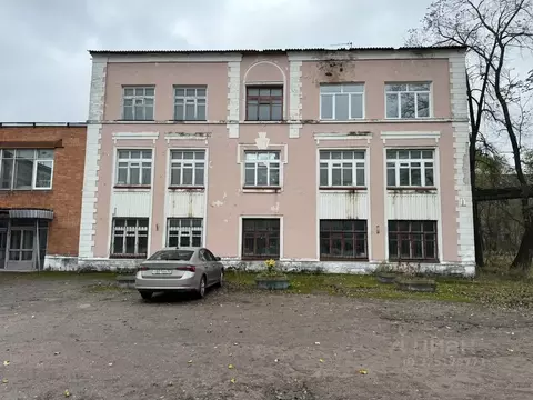 Помещение свободного назначения в Брянская область, Брянск Белые ...