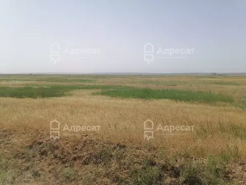 Участок в Волгоградская область, Светлоярский район, с. Большие ...