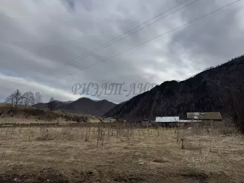 Участок в Алтай, Шебалинский район, с. Мыюта Российская ул. (18.0 ...