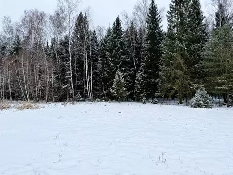 Участок в Московская область, Одинцовский городской округ, с. Ершово  ...