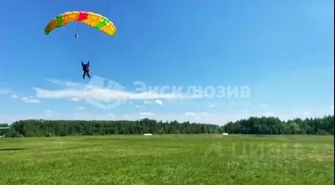 Участок в Тюменская область, Тюменский район, с. Чикча  (15.39 сот.)