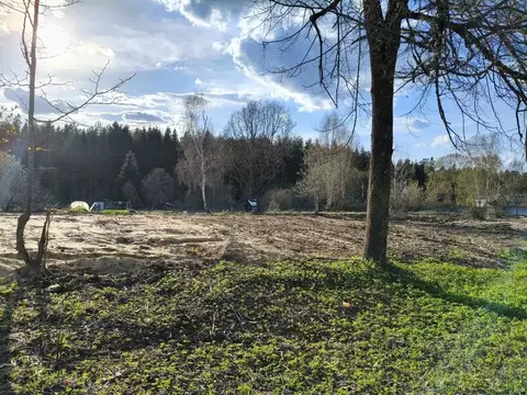 Участок в Московская область, Талдомский городской округ, Вербилки пгт ...