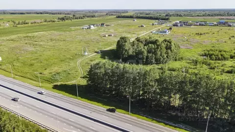 Участок в Тюменская область, Тюменский муниципальный округ, с. Борки  ...