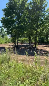 Участок в Адыгея, Майкопский район, пос. Тульский  (8.0 сот.)