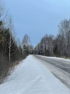 Участок в Тюменская область, Нижнетавдинский муниципальный округ, д. ...