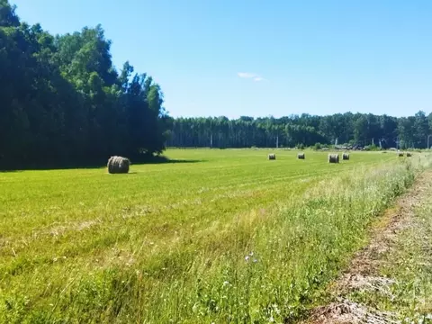 Участок в Тульская область, Ясногорский район, Иваньковское с/пос, ...