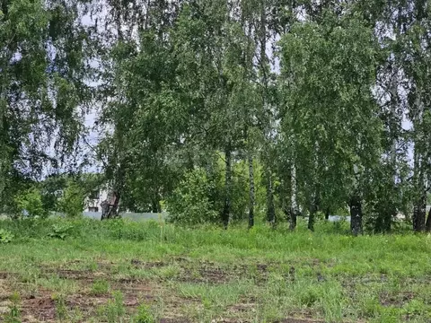 Участок в Тульская область, Щекинский район, Огаревское с/пос, д. ...