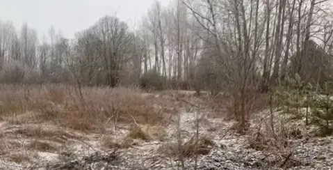 Участок в Московская область, Можайский муниципальный округ, д. ...