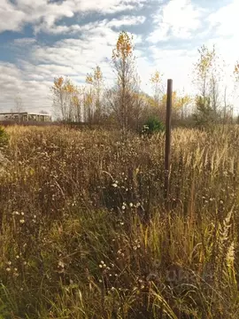 Участок в Калужская область, Жуков Стрелковка СНТ, А12Д20 (4.5 сот.)