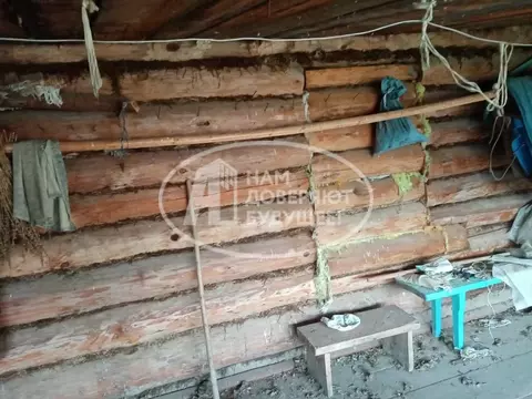 Дом в Пермский край, Чайковский городской округ, д. Бормист 55 (20 м)