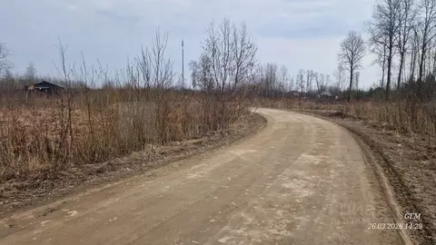 Участок в Новгородская область, Новгородский район, Ермолинское с/пос, ...