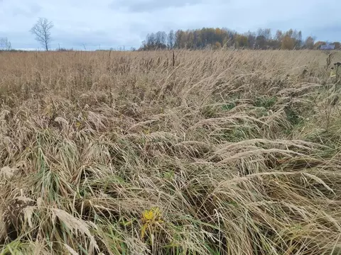 Участок в Московская область, Лотошино муниципальный округ, пос. ...