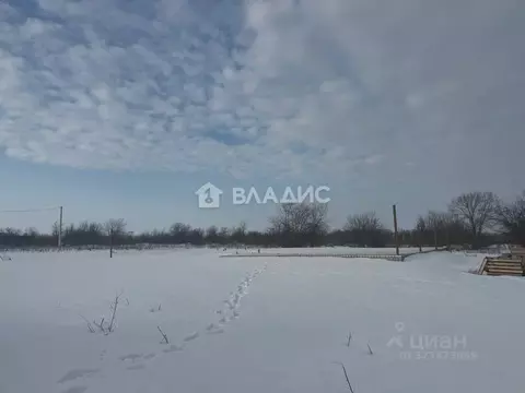 Участок в Воронежская область, Рамонский район, Новоживотинновское ...