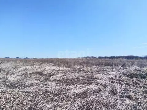 Участок в Амурская область, Благовещенский район, с. Волково  (14.0 ...