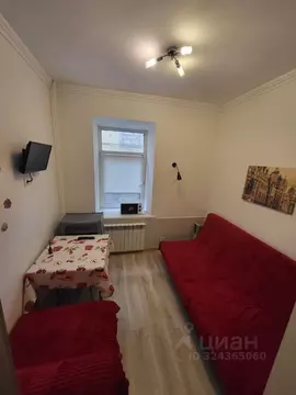 Студия Санкт-Петербург Молодежный пер., 9 (16.0 м)