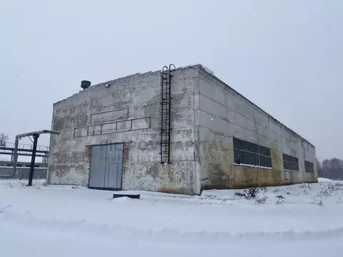 Производственное помещение в Башкортостан, Уфа тракт Бирский, 7 (1187 ...