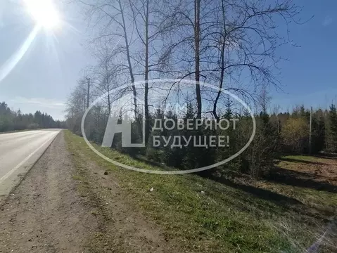 Участок в Пермский край, Добрянка ул. 50 лет Октября (15.0 сот.)