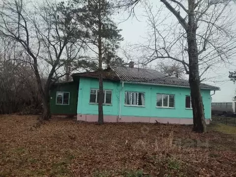 Помещение свободного назначения в Омская область, Любинский район, ...