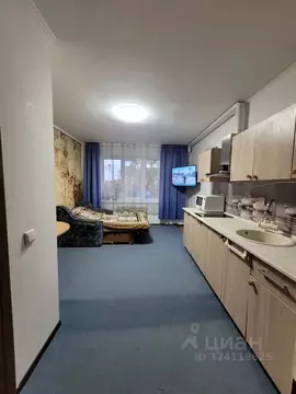 Студия Калининградская область, Багратионовский муниципальный округ, ...