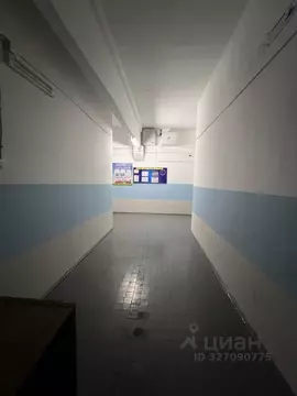 Помещение свободного назначения в Амурская область, Благовещенск ул. ...