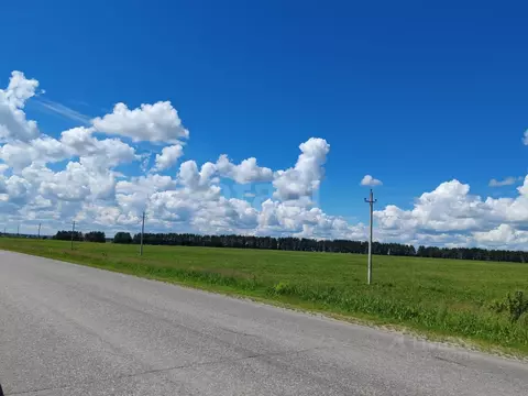 Участок в Мордовия, с. Ельники ул. Заречная (460.0 сот.)