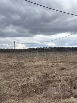 Участок в Ленинградская область, Тосненское городское поселение, Новое ...