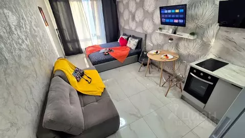 Студия Москва 1-я Магистральная ул., 25 (27.0 м)