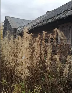 Дом в Архангельская область, Каргопольский муниципальный округ, д. ...